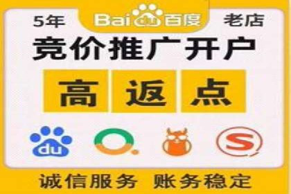 SEM搜索引擎优化：广告创意的策划与执行